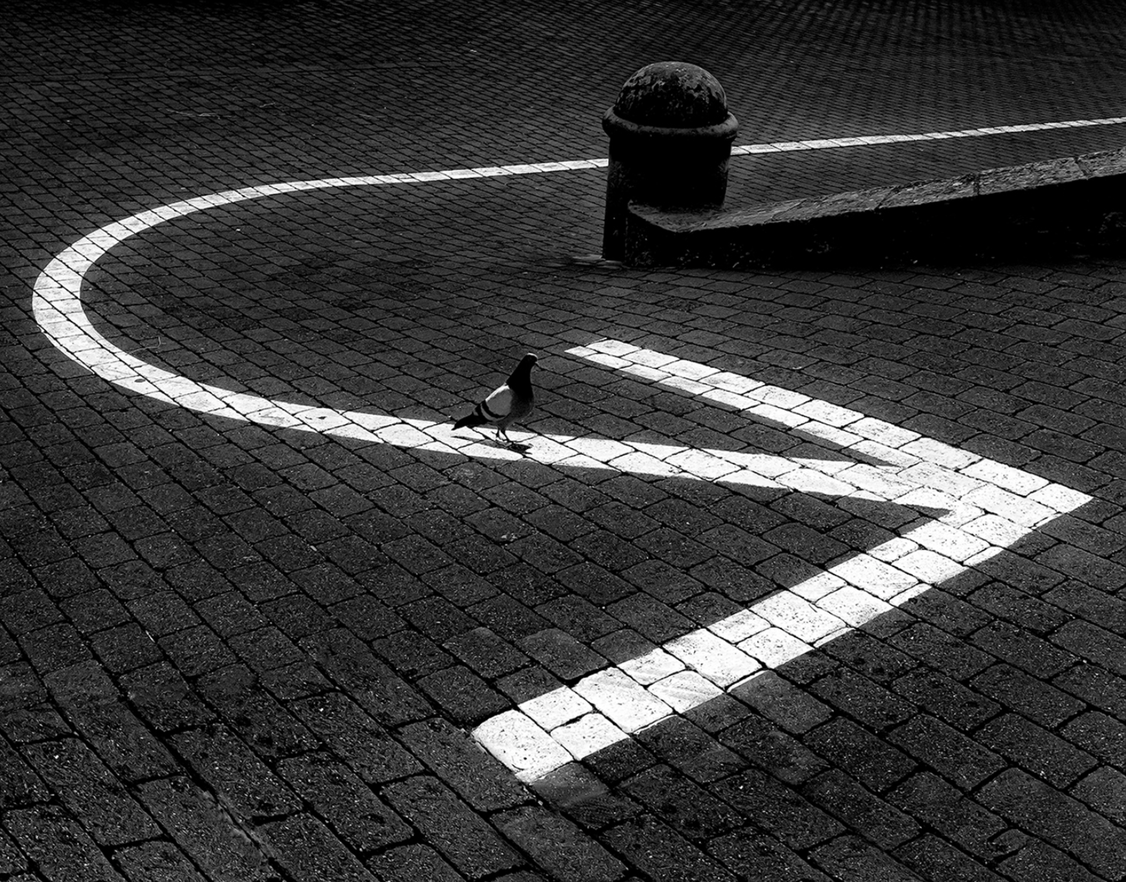 Xino-Xano. La Seu Vella (Miquel Calvet). Seleccionada monocrom